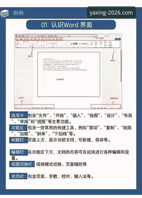 亚星官方平台安装教程实用指南：从下载到登录的全面解析